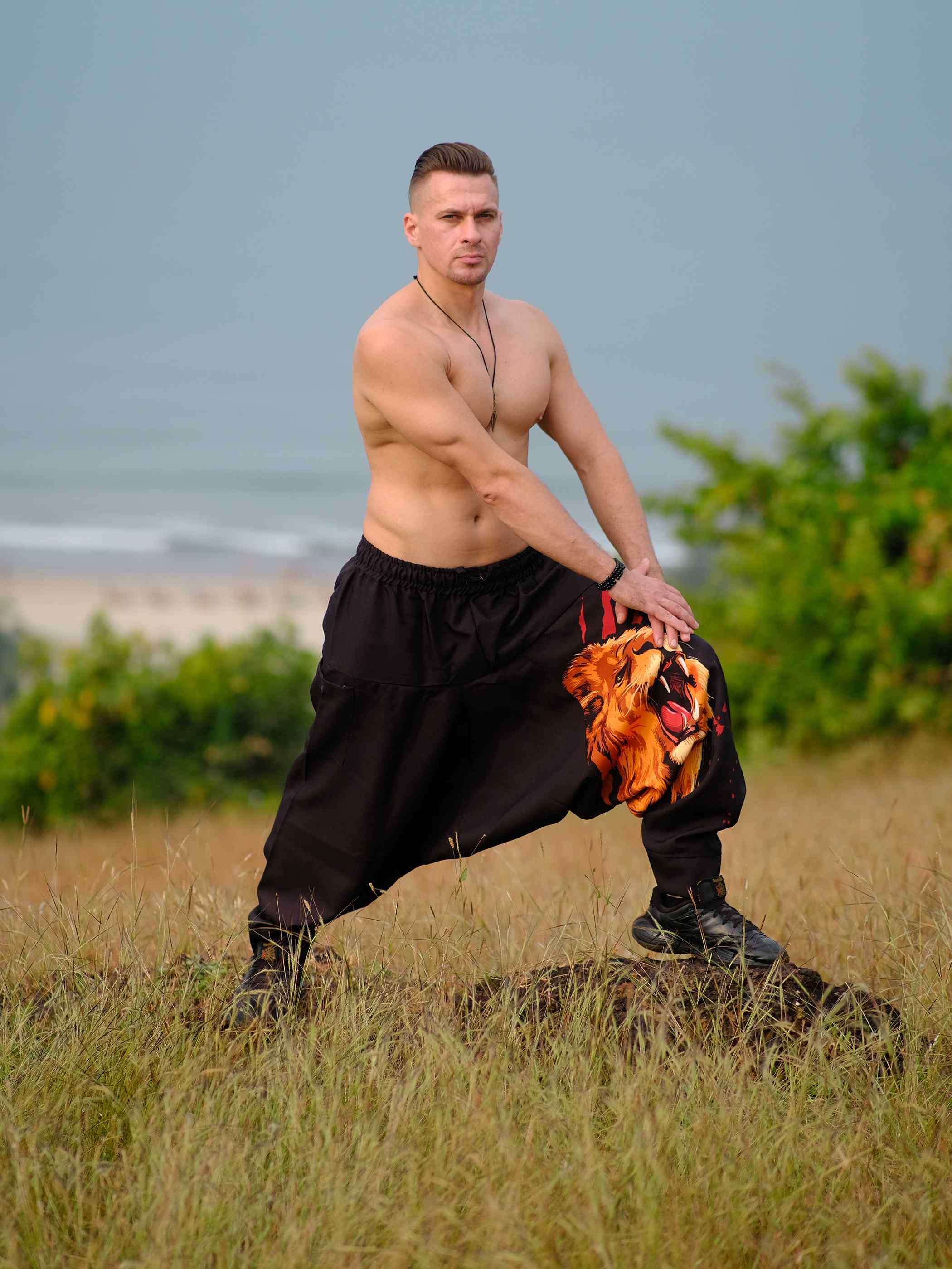 Men's Lion Print Hippy Baggy Aladdin Bohemian Harem Pants For Travel Dance  Yoga