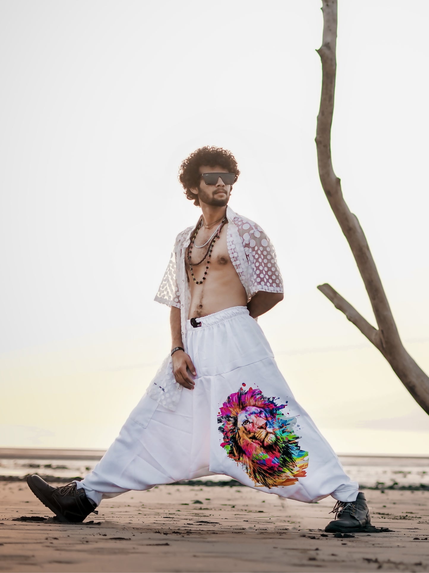 Men's Holi Party Special Lion Print Harem Pants For Dance Travel