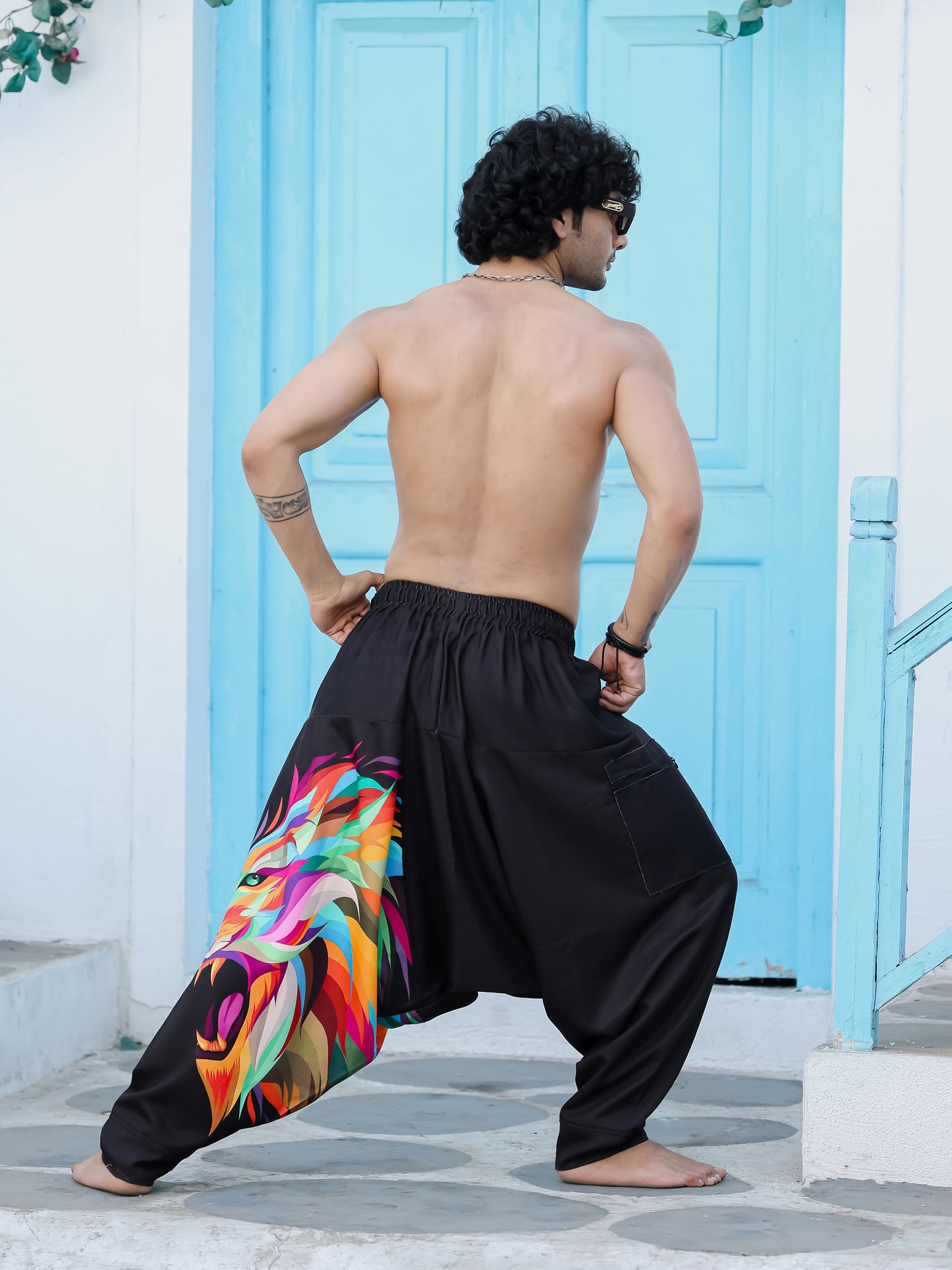 Men's Lion Print Baggy Aladdin Harem Pants For Travel Dance Yoga