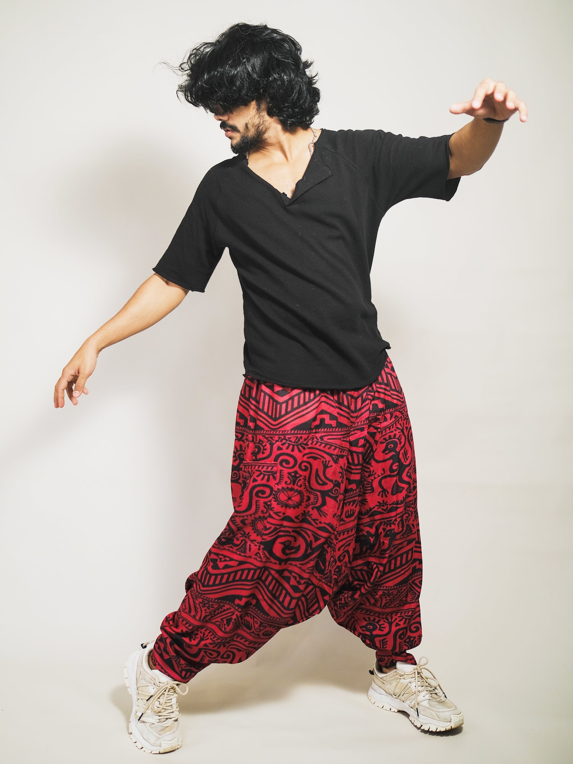 Men's Lion Print Hippy Baggy Aladdin Bohemian Harem Pants For Travel Dance  Yoga