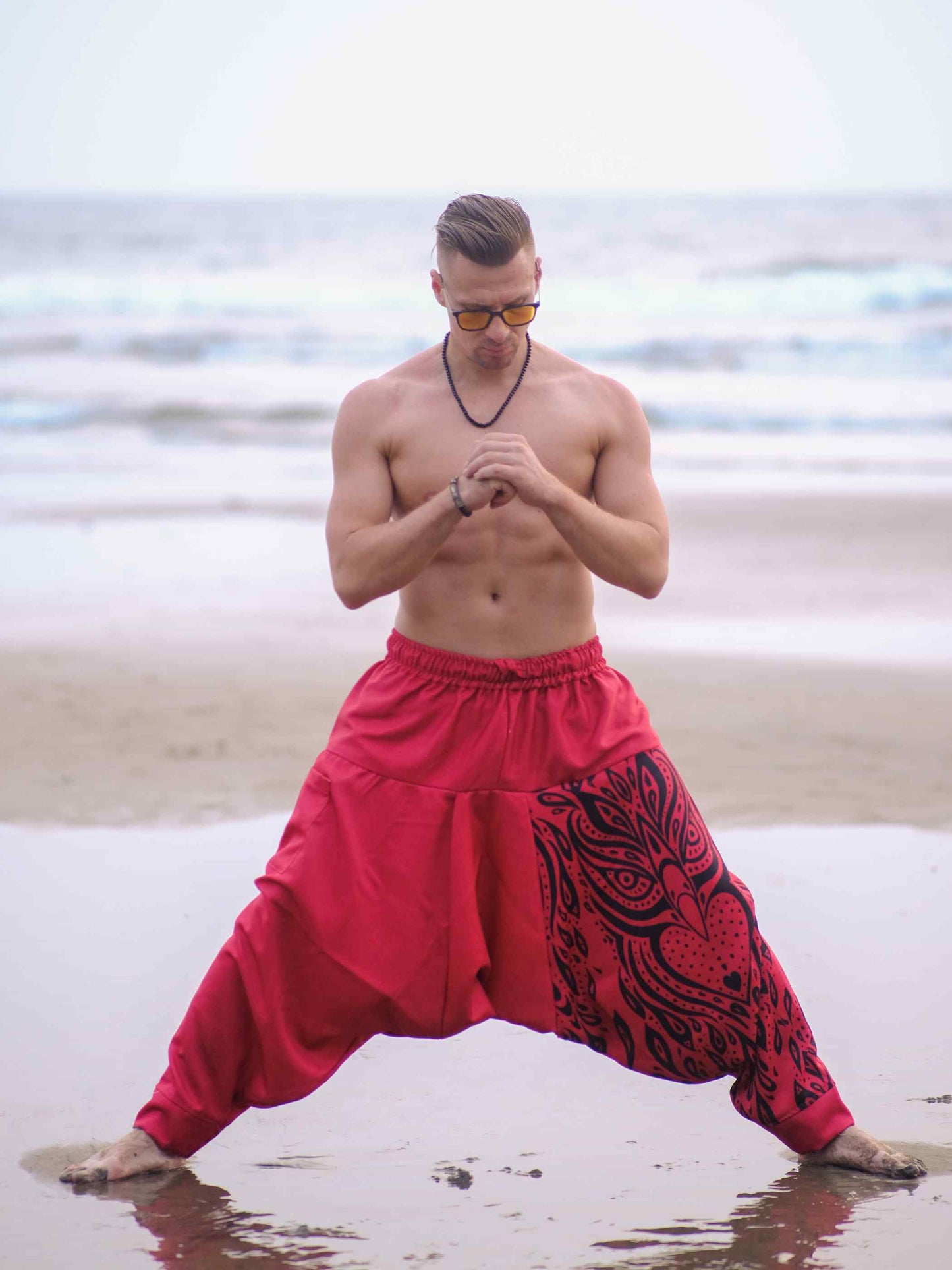 Buy Men's Red Owl Bohemian Hippy Balloon Harem Pants For Travel Dance Yoga 